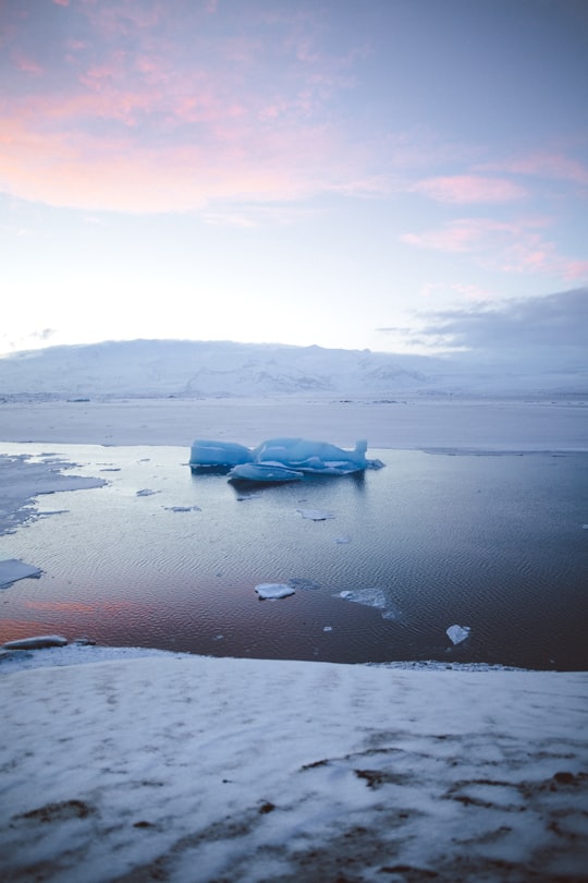 iceberg floating on water under blue and pink sky in Jökulsárlón Iceland