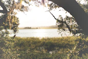 A serene landscape photo showcasing the artful eye of FocusFrame.