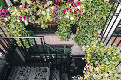 An outdoor metal staircase leading to a patio surrounded by greenery.
