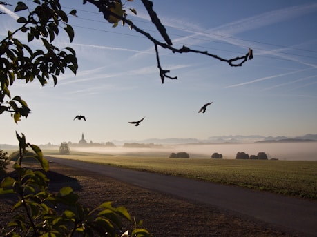 A peaceful sunrise over a quiet country road, symbolizing a new day filled with faith and hope.
