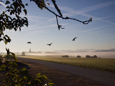 A group of farmers praying together at sunrise in a rural field.
