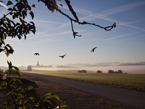 A serene sunrise over a quiet church garden, symbolizing new beginnings.