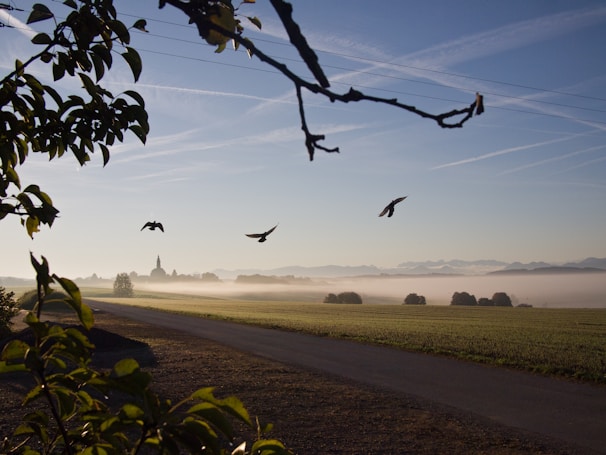 A peaceful sunrise over a church with a choir singing in the foreground