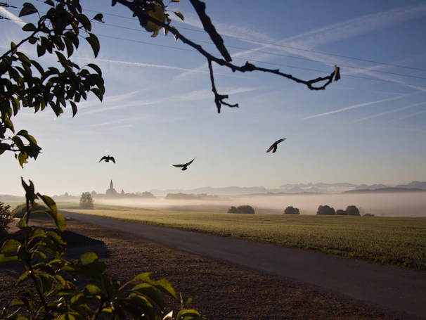 A serene countryside sunrise symbolizing new beginnings and hope in Christ.