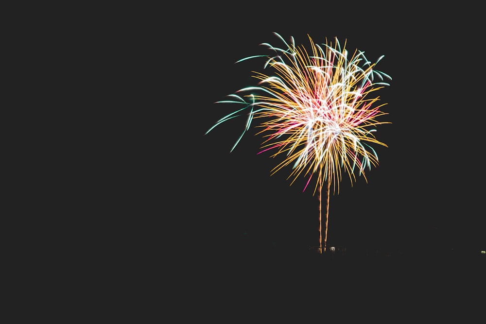 yellow, blue, and red chrysanthemum firework