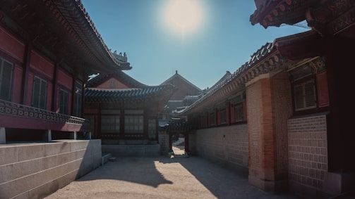 A serene temple courtyard bathed in soft morning light, with delicate shadows playing on traditional Korean architecture.