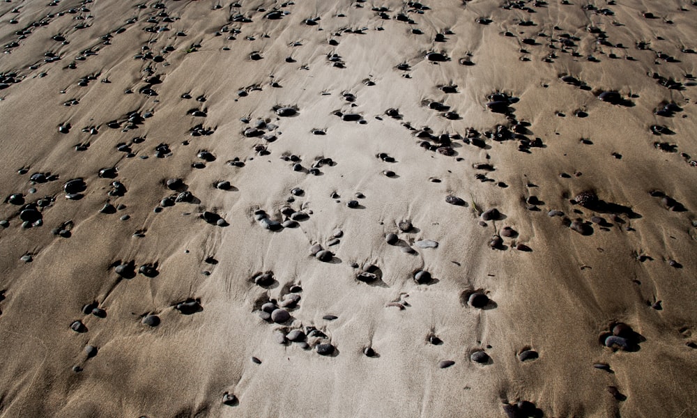 흰색과 검은 색 모래 사진