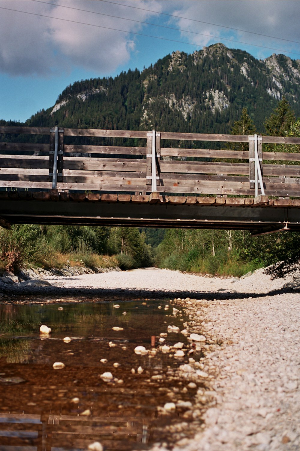 ponte di legno marrone