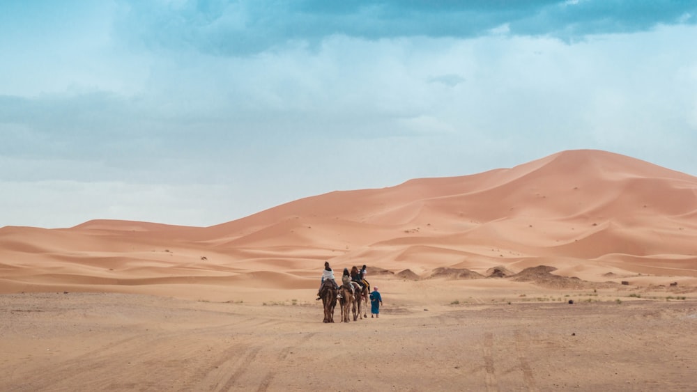 person riding on camel across the desert