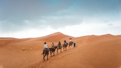 group of people riding camels on desert