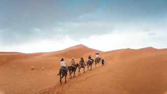 group of people riding camels on desert