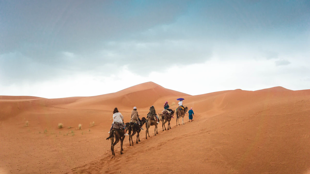 Group of camel riders in the Sahara, Morocco