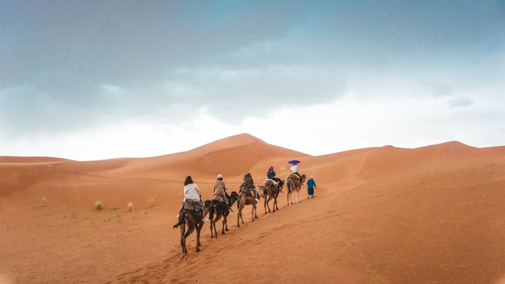 grupo de personas montando camellos en el desierto