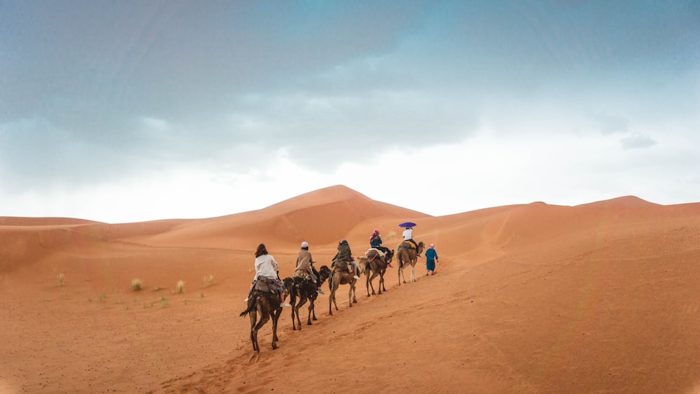 Grupo de pessoas montando camelos no deserto