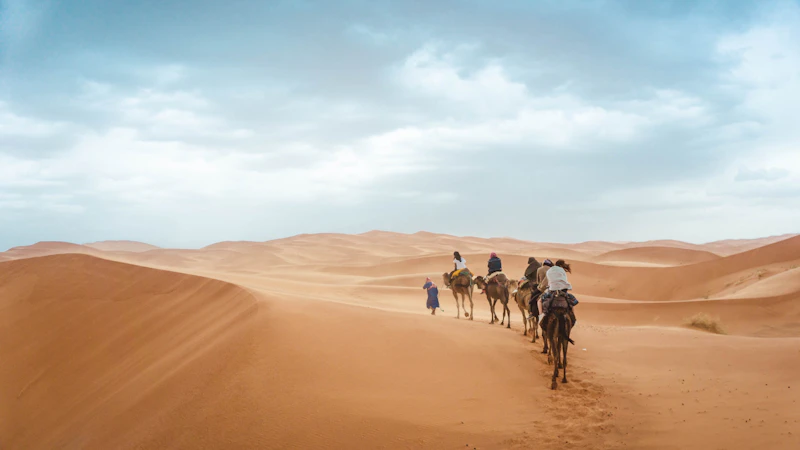 Travelers riding camels over the dunes