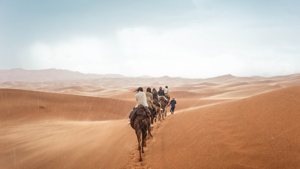 Menschen, die tagsüber unter bewölktem Himmel auf einem Kamel auf Sand reiten