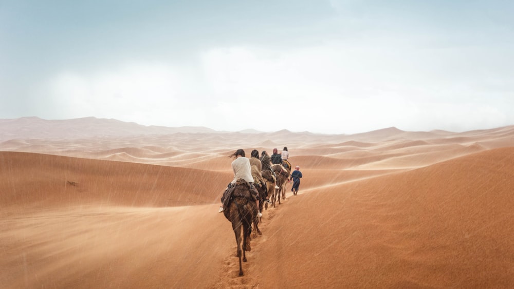 people riding camel on sand under cloudy sky at daytime