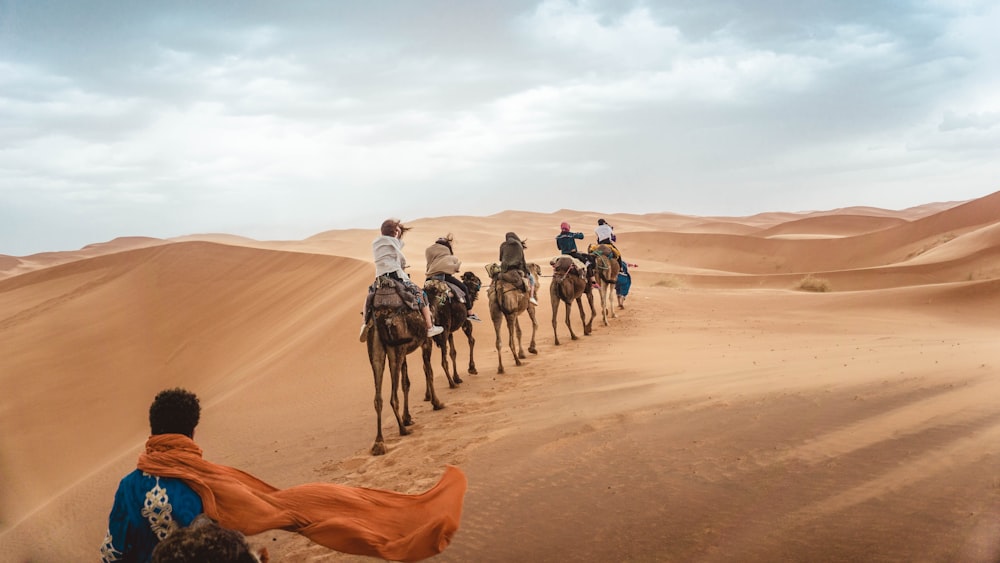 낮에 사막에서 낙타를 타는 여러 사람들