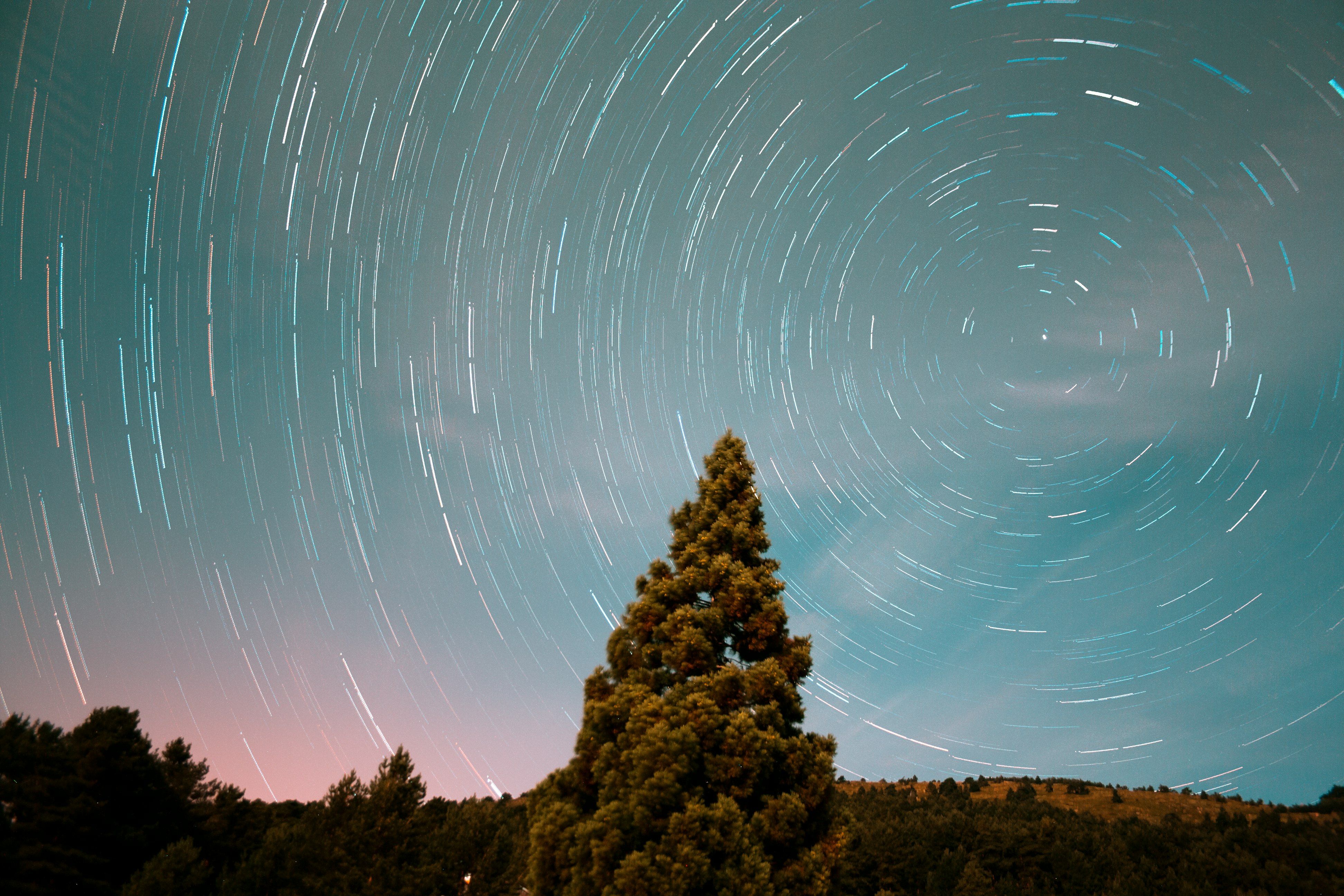 long exposure photography of stars and pine tree