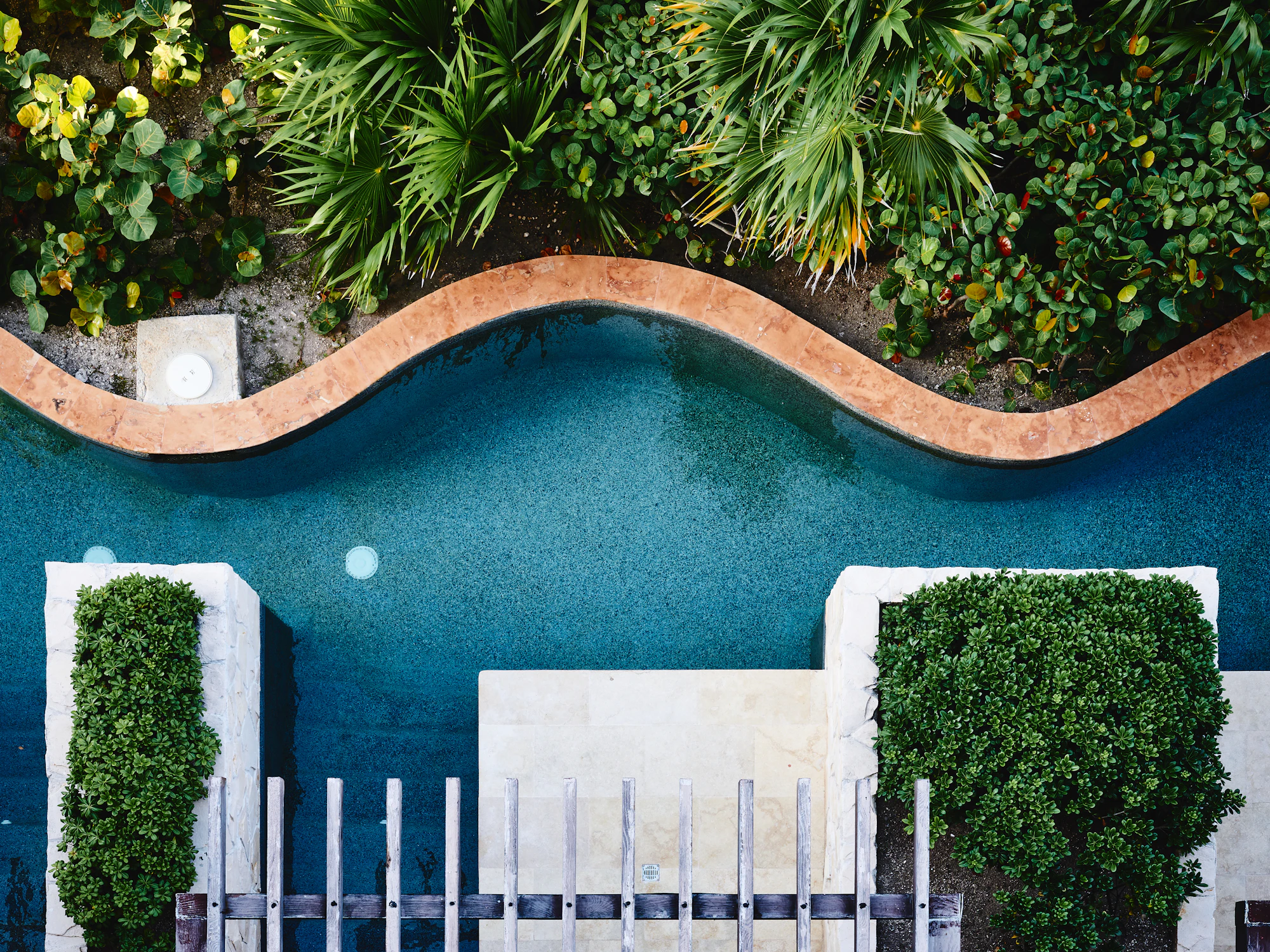 Piscina de un hotel de lujo rodeada de vegetación tropical