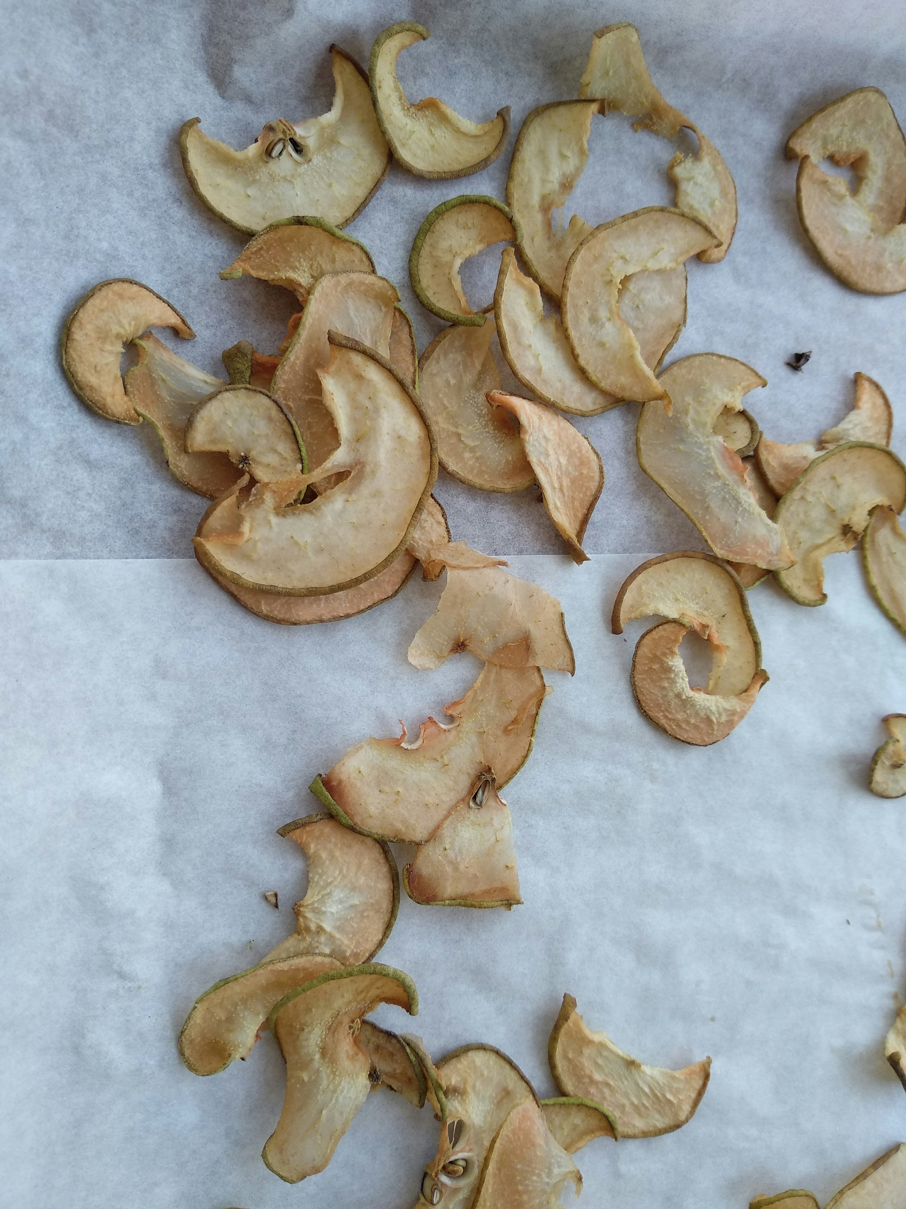 White parchment paper rounds for air fryer, clean product shot