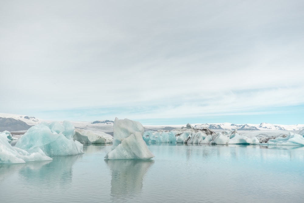 icebergs on body of water