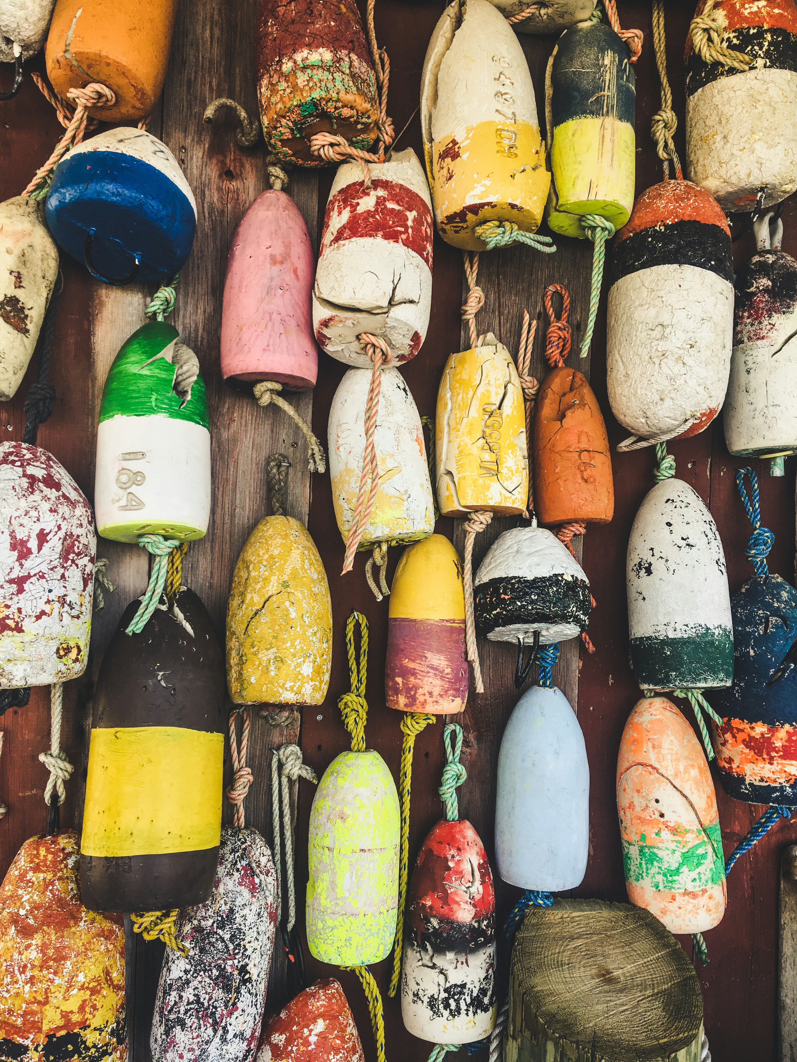 Photo by ellecosgrave