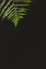 Estrategias para mejorar enfoque creativo en trabajo diario