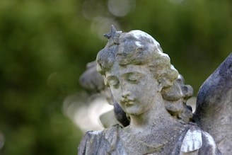 A weathered stone statue of an angel with detailed features and a serene expression. The angel has wavy hair, a star on its forehead, and is set against a soft-focus green background, possibly foliage.