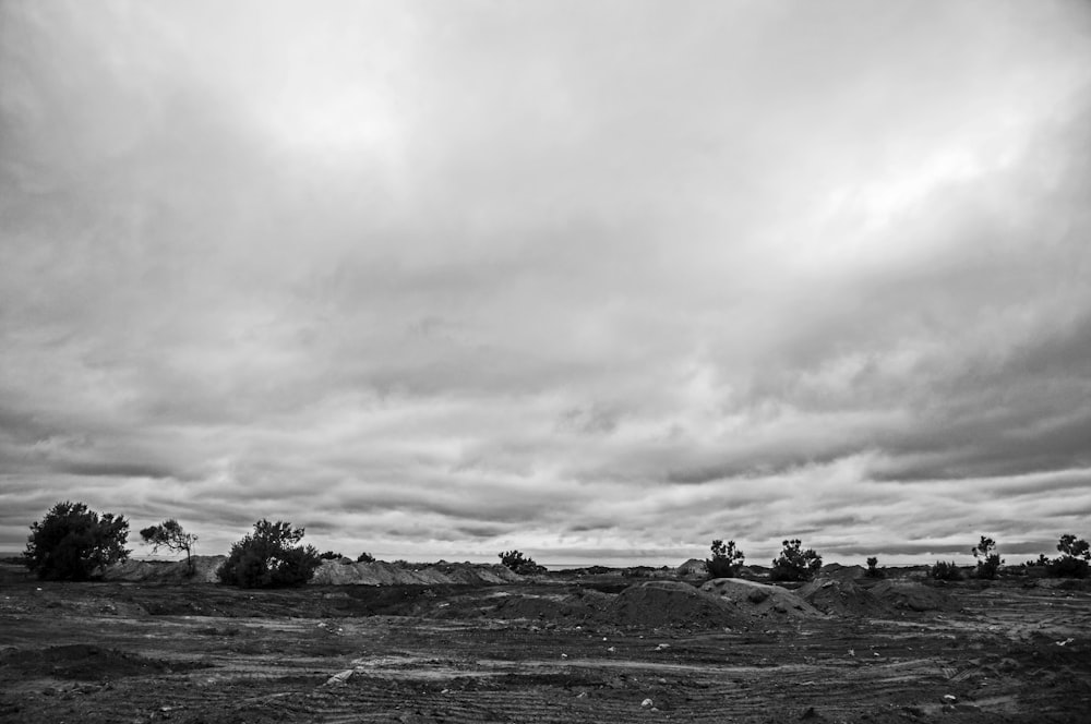 greyscale photo of trees and clouds