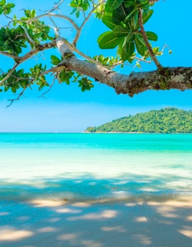 ocean surrounded by island under blue sky