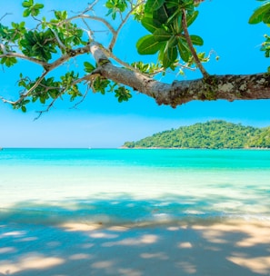 ocean surrounded by island under blue sky