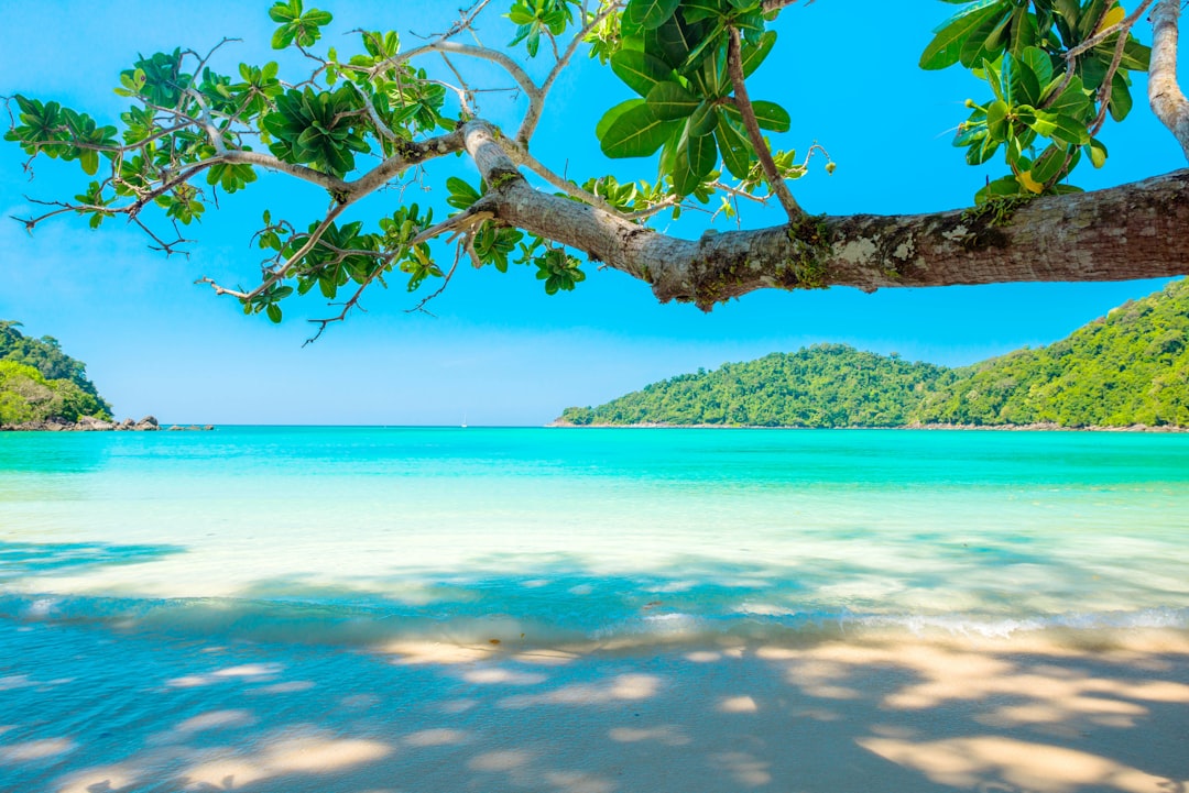 ocean surrounded by island under blue sky, resorts