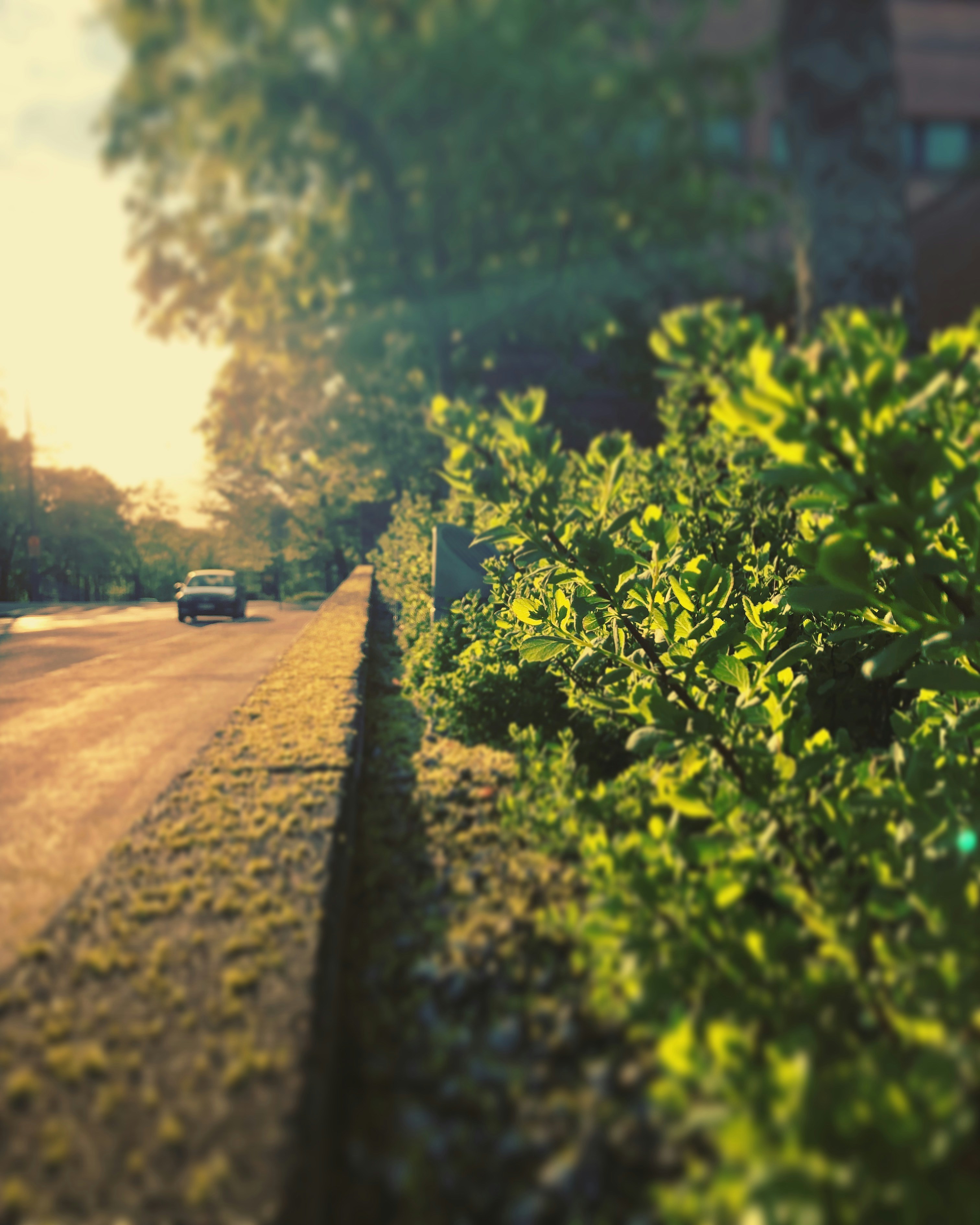 Taru Huhkio (@piipiipikkuinenlintu) | Unsplash Photo Community