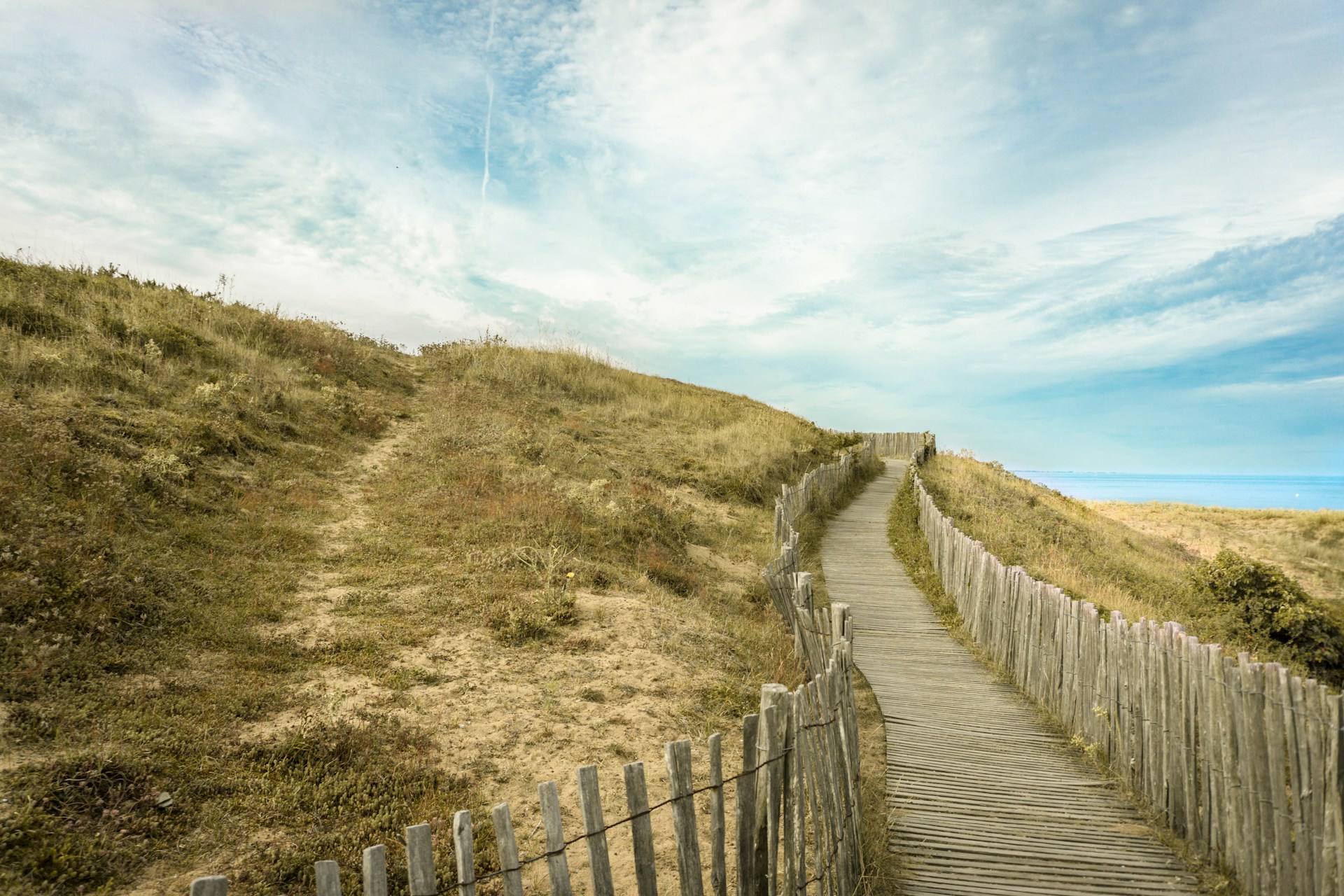 gray pathway between wooden fences