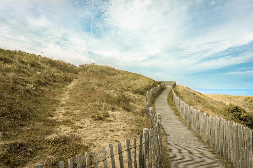 gray pathway between wooden fences