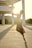 A ballet dancer is captured in mid-air performing an elegant pose with the setting sun behind them, creating a dramatic silhouette. The dancer is dressed in a flowing, semi-transparent dress and is on pointe. The surroundings include modern architectural elements with large columns and open space, and there is greenery visible in the background.