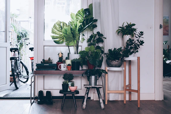 A cozy corner of the thrift garden shop with lush green plants and a steaming cup of coffee on a rustic wooden table.