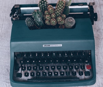 black and green Olympia typewriter and green cactus plant