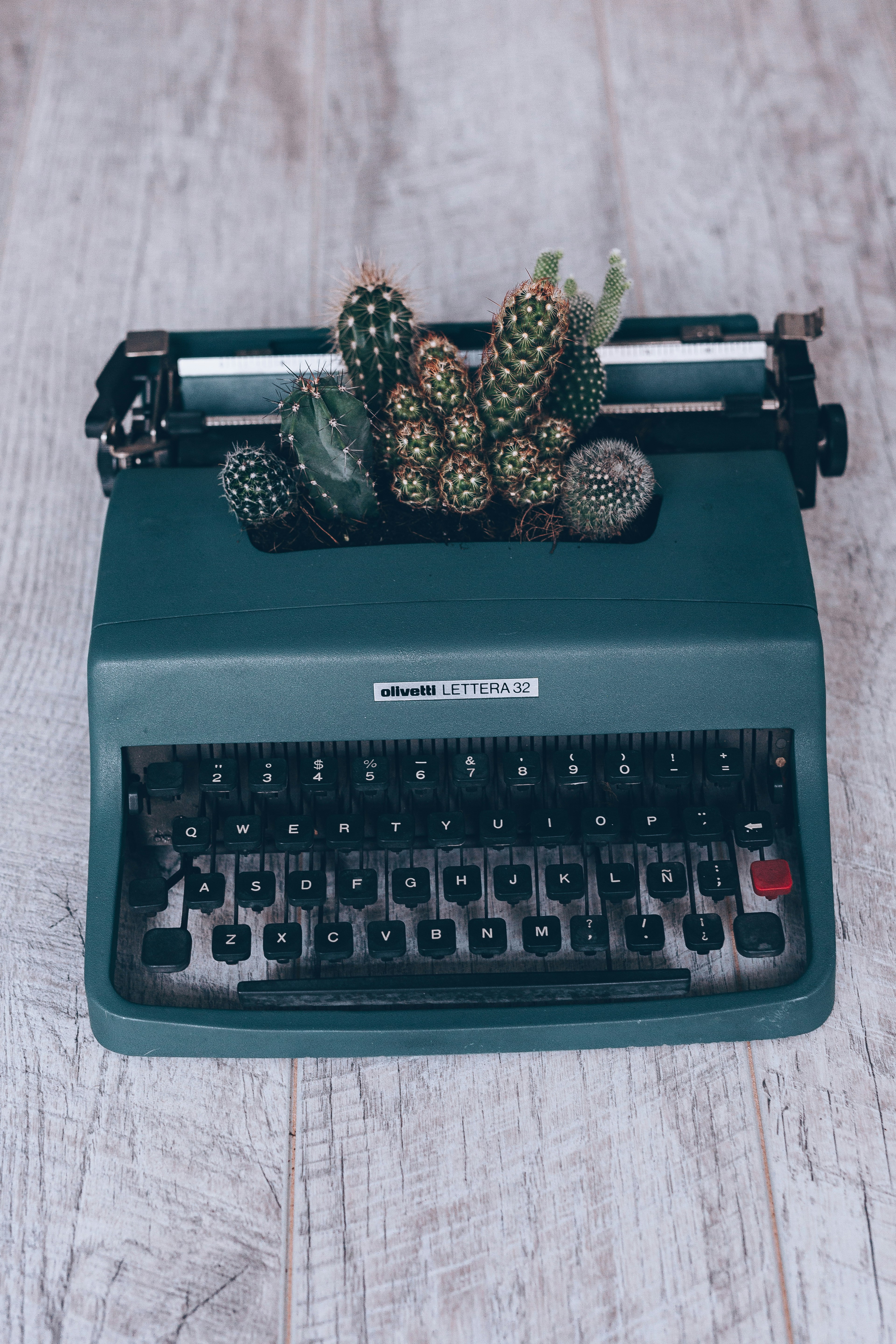 23 DIY Home Decor Ideas For 2023 ????