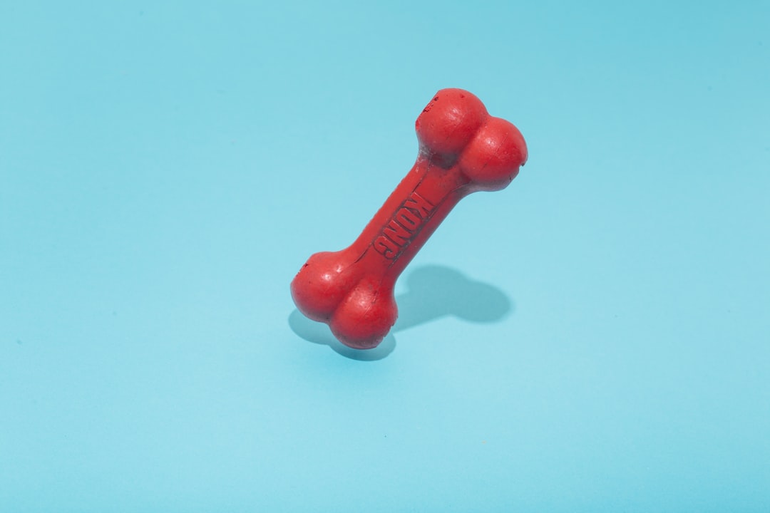 red Kong bone figure on teal surface