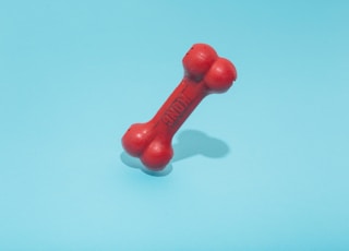 red Kong bone figure on teal surface