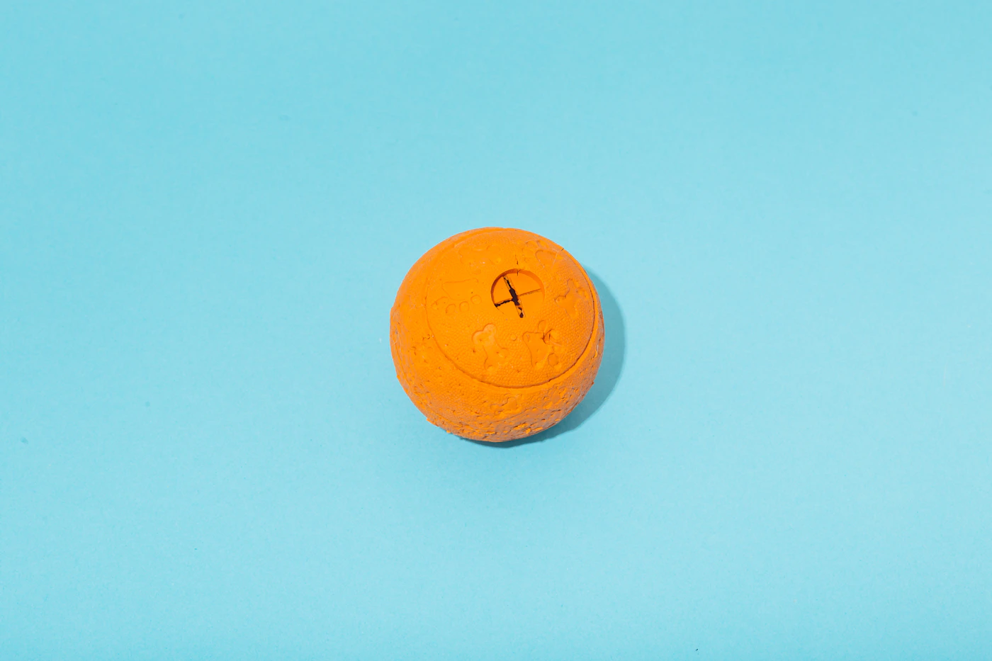 Orange rubber dog ball photographed against a blue background