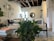 A cozy living space with modern decor features a pair of cushioned chairs adorned with striped and patterned pillows. A round mirror hangs on a wall, complementing an arrangement of framed art pieces, including a palm tree print. Green plants add a touch of nature to the room, while a wooden and glass coffee table displays books. The exposed ceiling and natural lighting create a warm and inviting atmosphere.