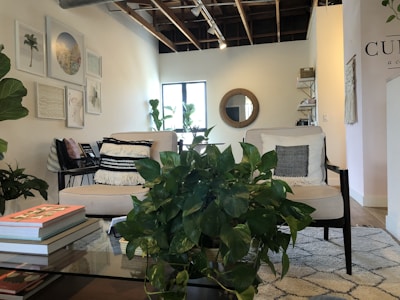 A cozy living space with modern decor features a pair of cushioned chairs adorned with striped and patterned pillows. A round mirror hangs on a wall, complementing an arrangement of framed art pieces, including a palm tree print. Green plants add a touch of nature to the room, while a wooden and glass coffee table displays books. The exposed ceiling and natural lighting create a warm and inviting atmosphere.