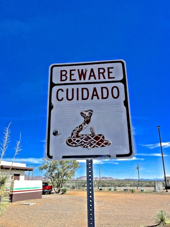 A warning sign features the text 'BEWARE CUIDADO' with an illustration of a coiled rattlesnake. It is set against a bright blue sky in a desert-like environment, with some vegetation, a building, and a red car visible in the background.