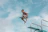 Smiling young boy jumping on a trampoline inside a bright gym