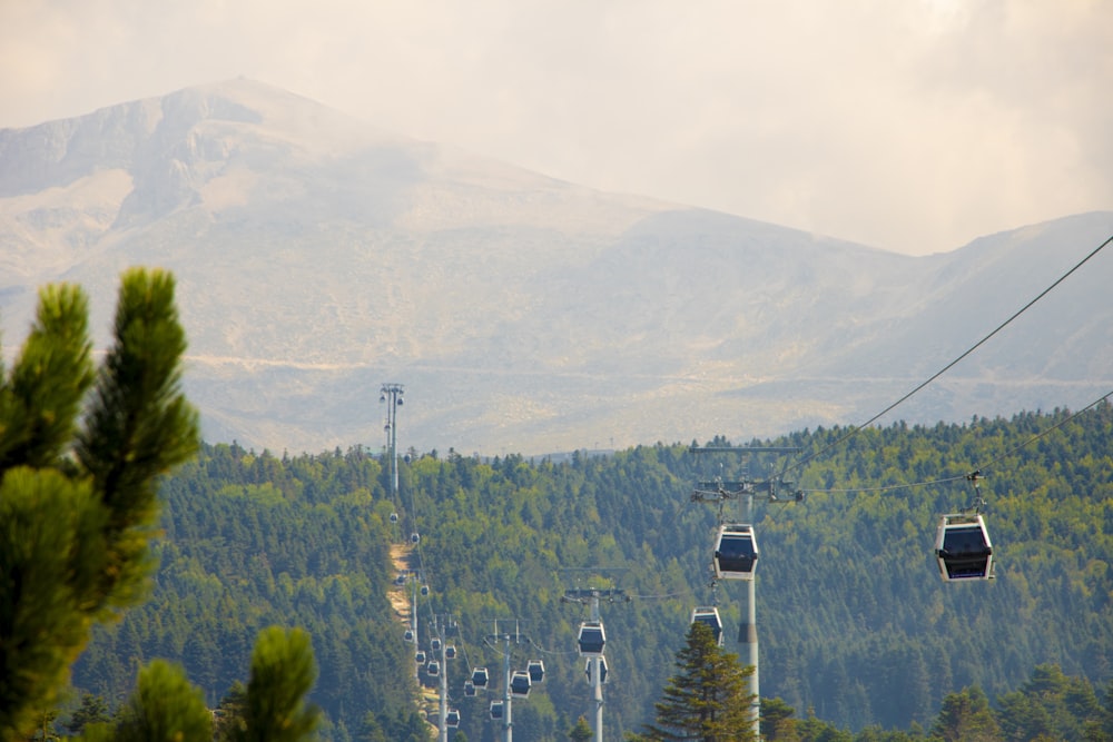 carros de cable negros en la montaña durante el día