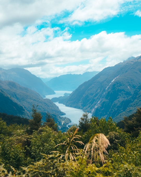 body of water between mountains with trees during daytime in Doubtful Sound New Zealand