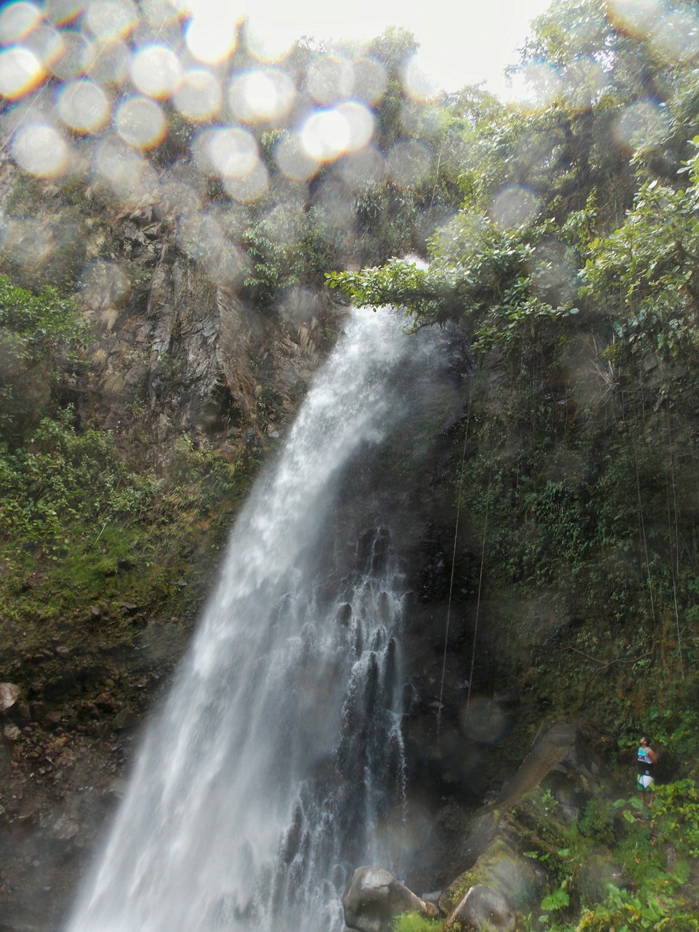 昼間の滝